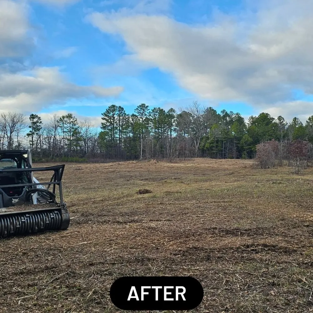 Affordable landscape installation for homes in Hot Springs, AR by Kingdom Land Services