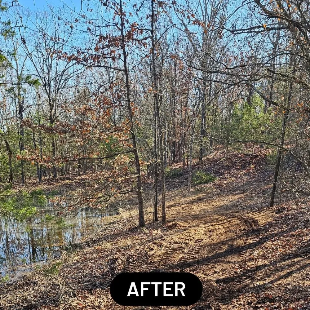 Top-rated landscaping services in Hot Springs, AR by Kingdom Land Services