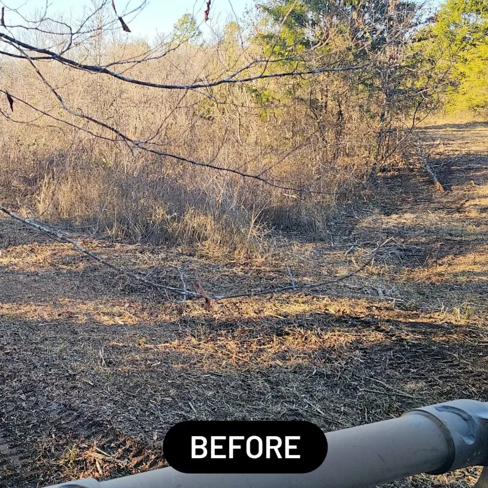 Expert garden landscaping for homes across Hot Springs, AR - Kingdom Land Services