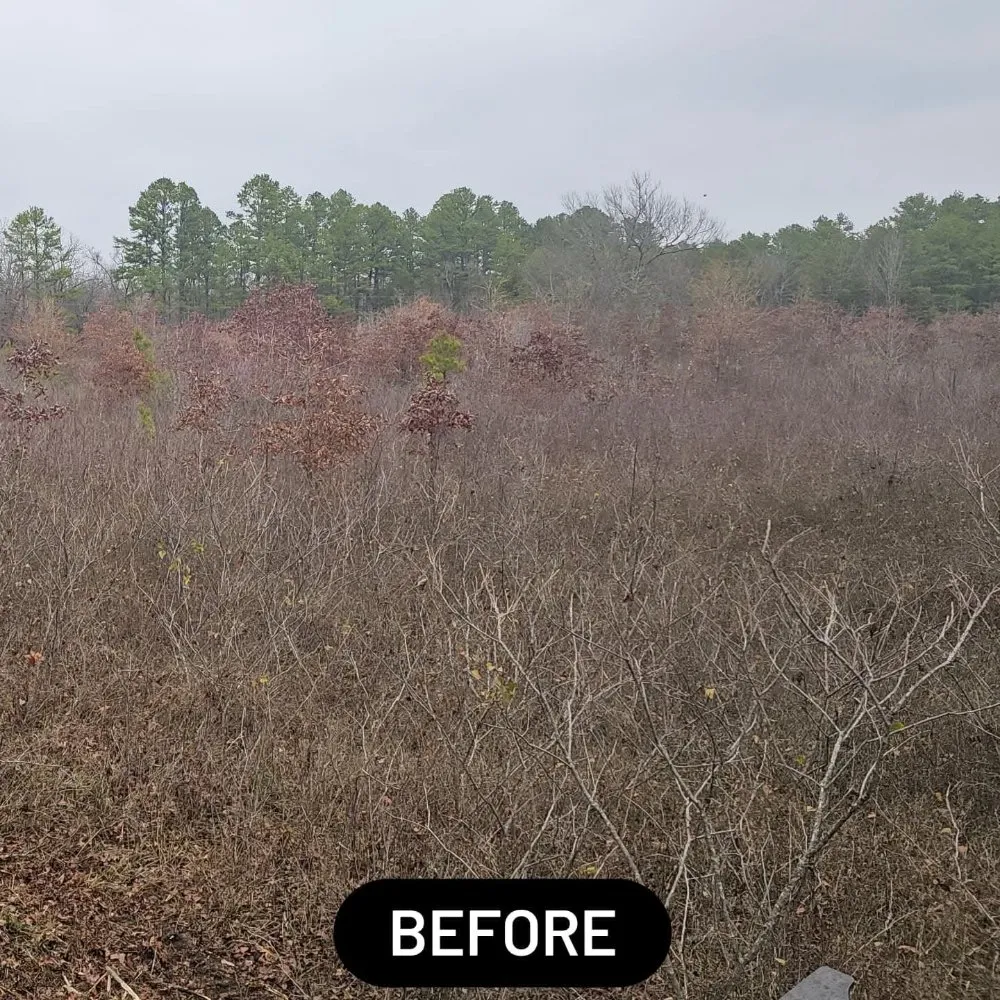 Top-rated lawn care service near you in Hot Springs, AR by Kingdom Land Services