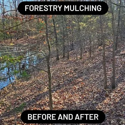 Kingdom Land Services Logo