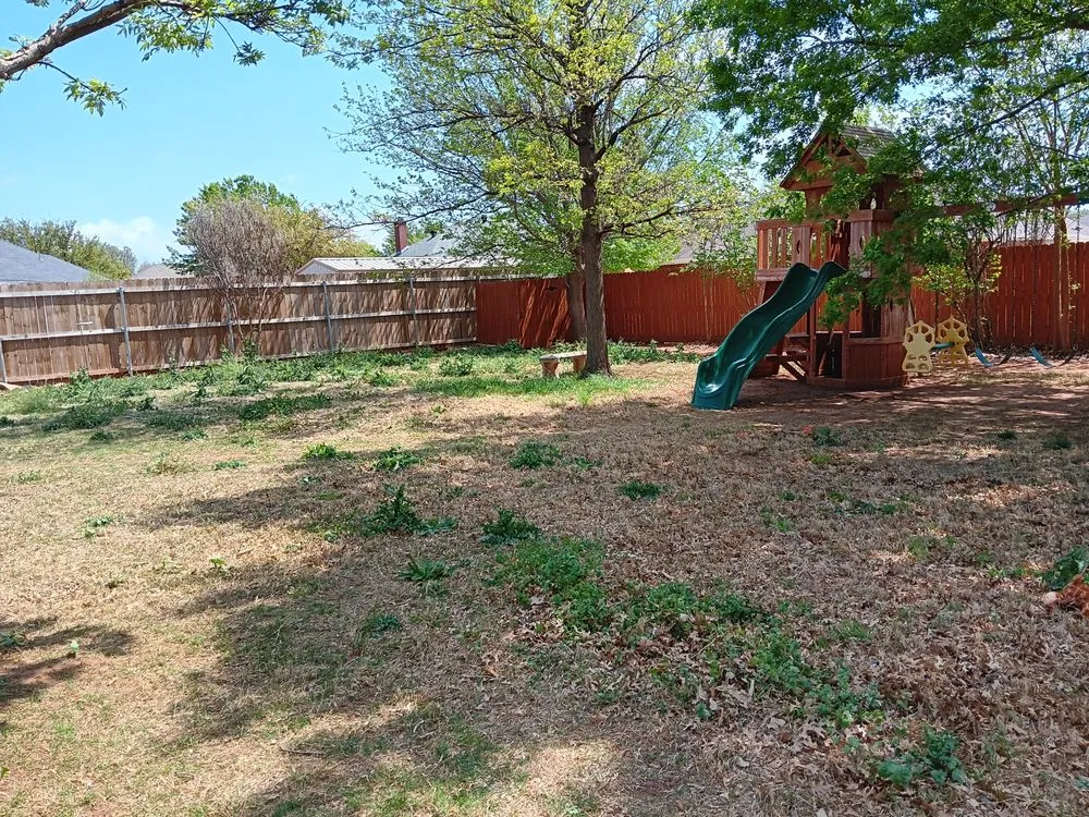 Expert landscaping services experts serving Abilene, TX - Kingdom Landscape