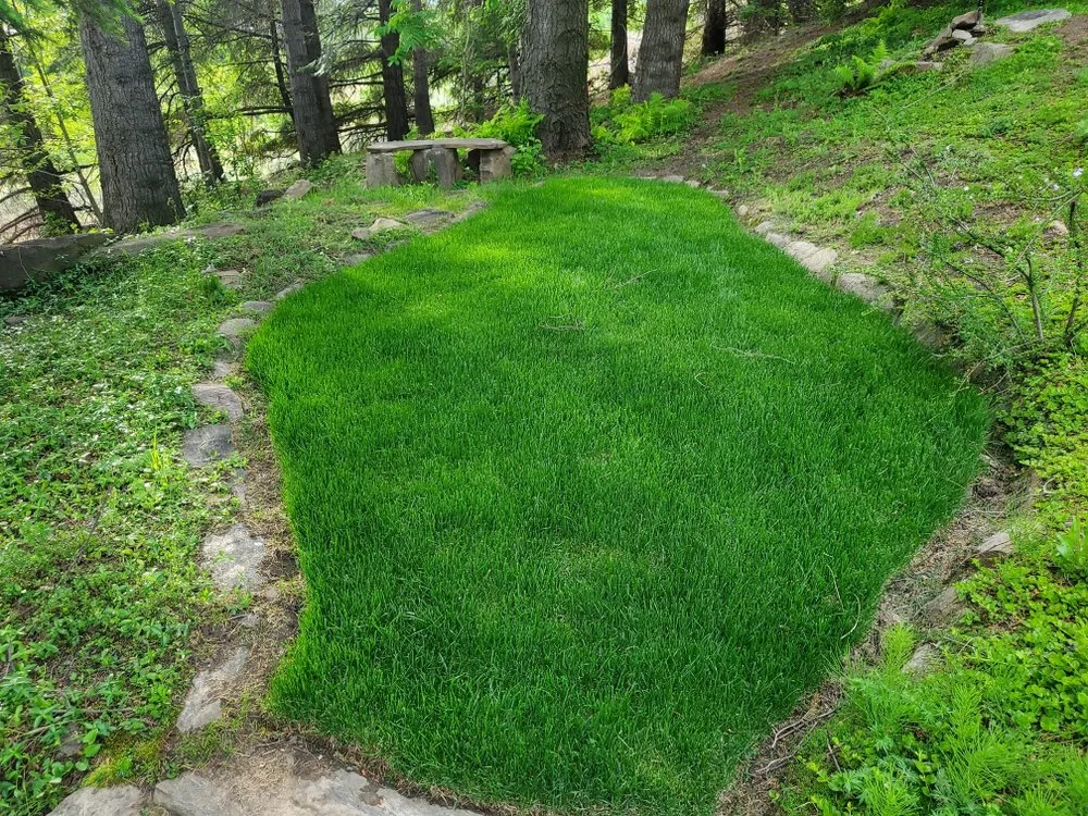 Professional landscaping services near you across Georgetown, KY - Kingdom Landscapes and Irrigation