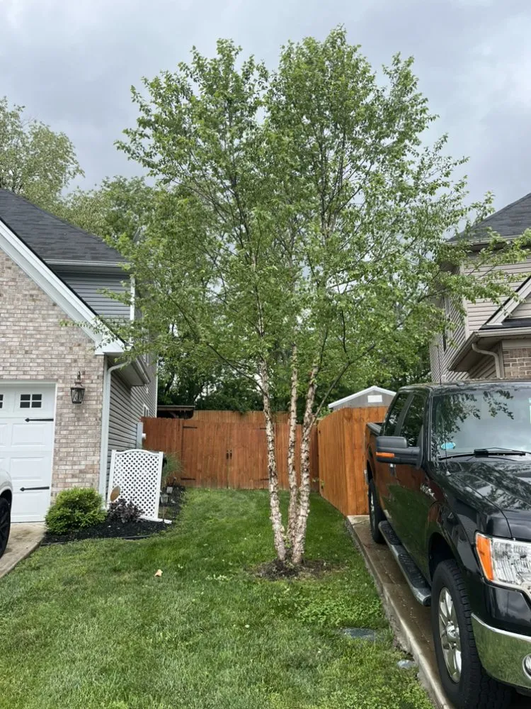 Reliable yard cleanup service experts serving Georgetown, KY - Kingdom Landscapes and Irrigation