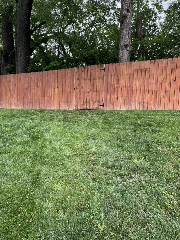 Local outdoor landscaping experts serving Georgetown, KY - Kingdom Landscapes and Irrigation