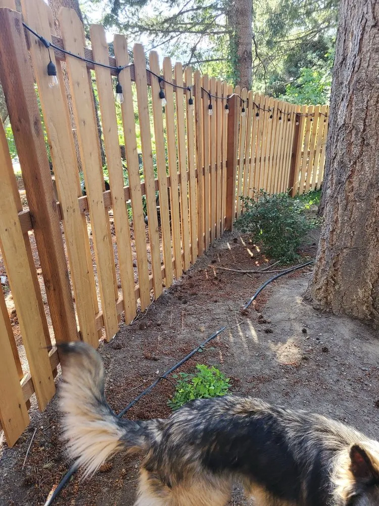 Professional landscape installation in Georgetown, KY - Kingdom Landscapes and Irrigation