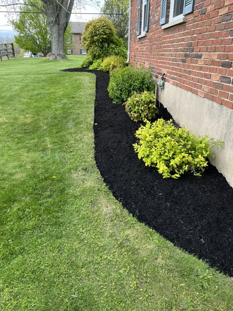 Expert outdoor landscaping for homes across Georgetown, KY - Kingdom Landscapes and Irrigation