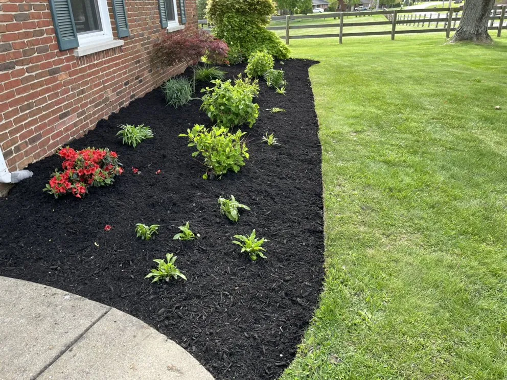 Affordable landscaping services in Georgetown, KY - Kingdom Landscapes and Irrigation