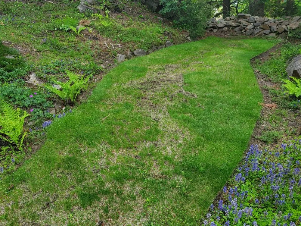 Professional residential landscaping near you in Georgetown, KY by Kingdom Landscapes and Irrigation