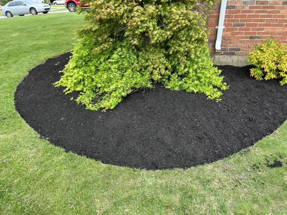 Custom landscape design experts serving Georgetown, KY - Kingdom Landscapes and Irrigation