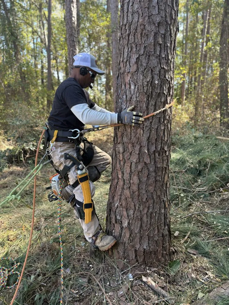 Professional lawn mowing service for homes across Coats, NC - Kingdom Landscapes