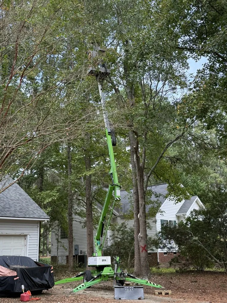 Local landscaping services experts serving Coats, NC - Kingdom Landscapes