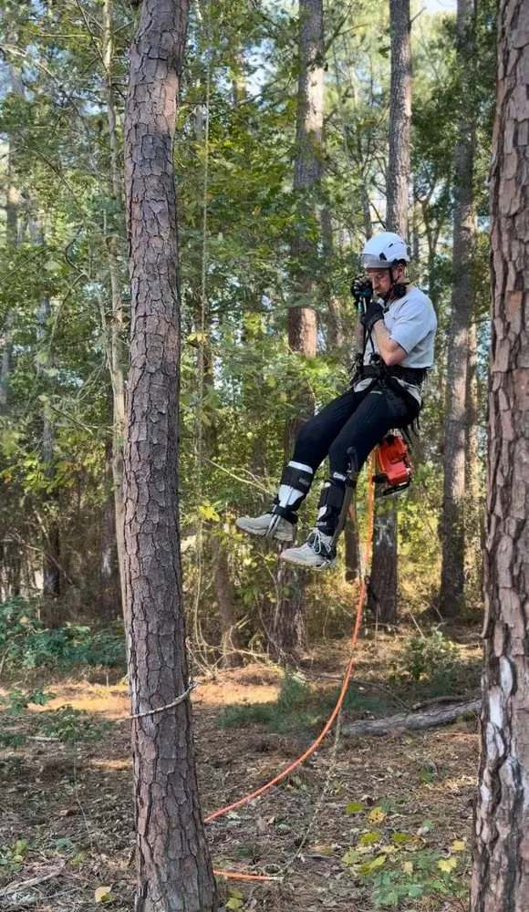 Custom lawn mowing service experts serving Coats, NC - Kingdom Landscapes