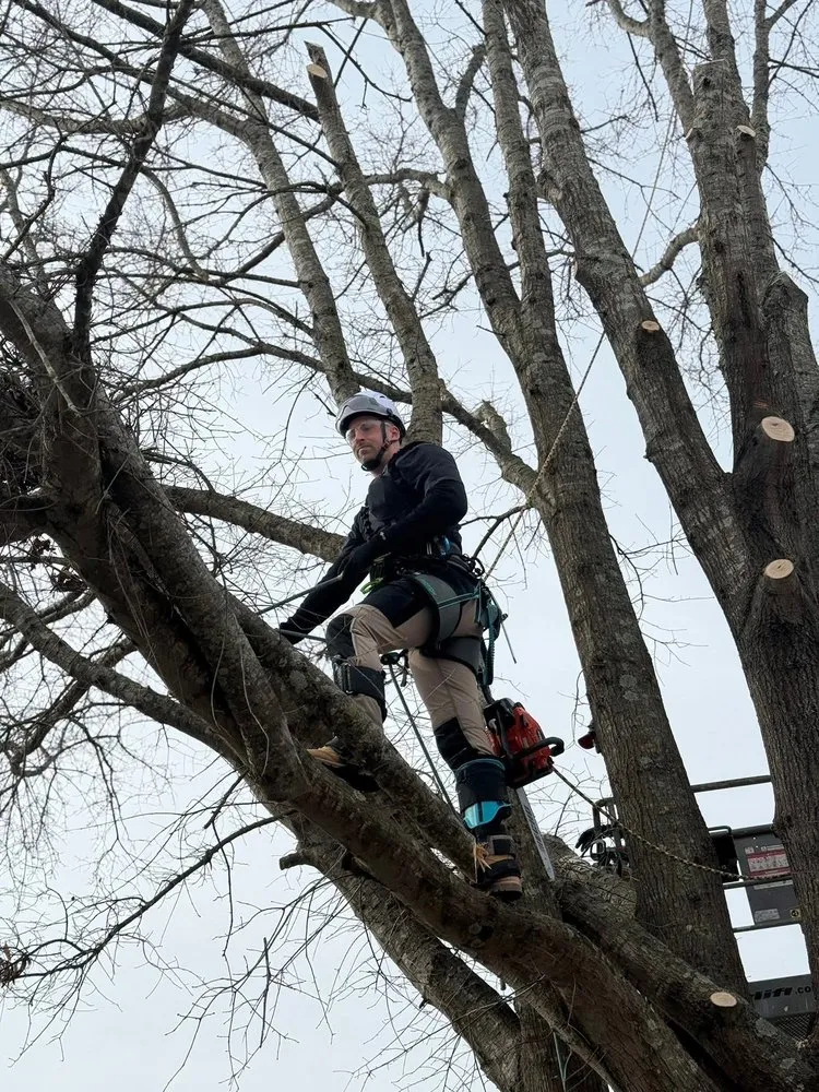 Reliable garden landscaping for residential properties in Coats, NC by Kingdom Landscapes