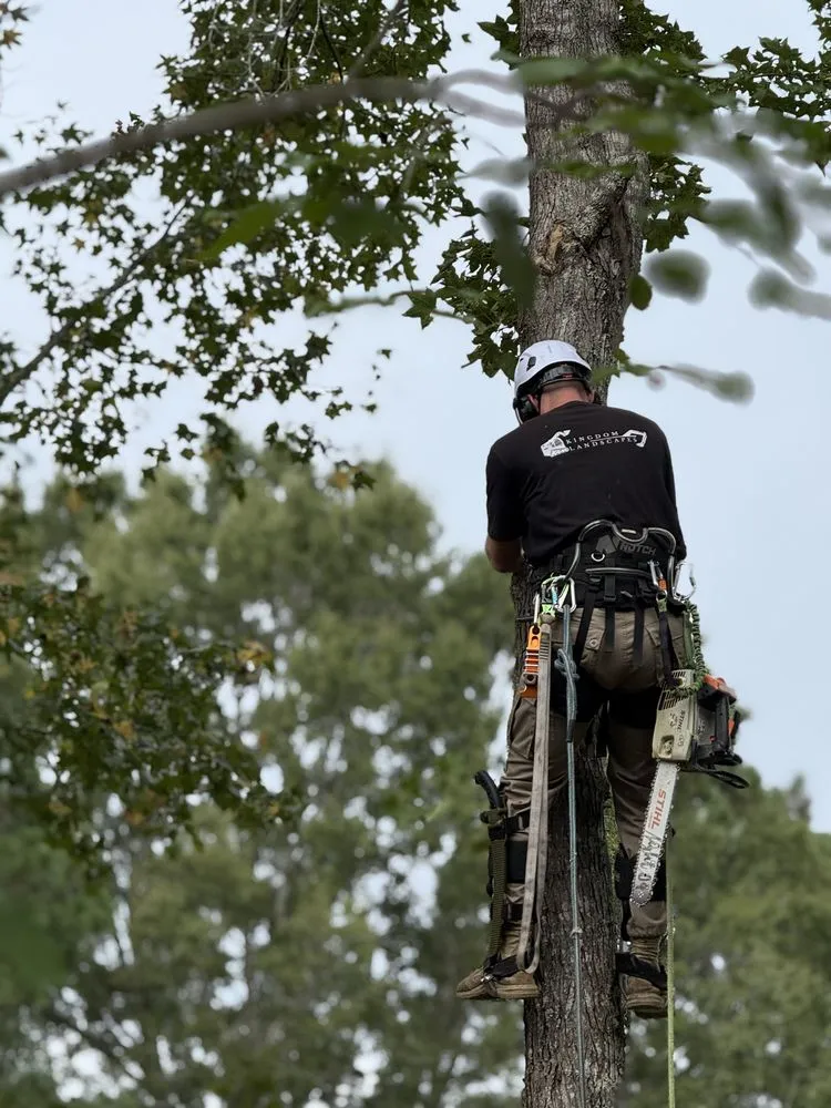 Reliable yard maintenance in Coats, NC by Kingdom Landscapes