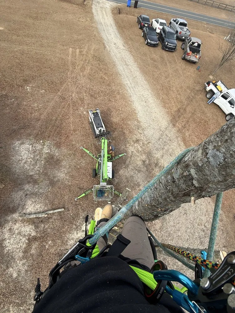 Professional lawn care service for beautiful yards across Coats, NC - Kingdom Landscapes