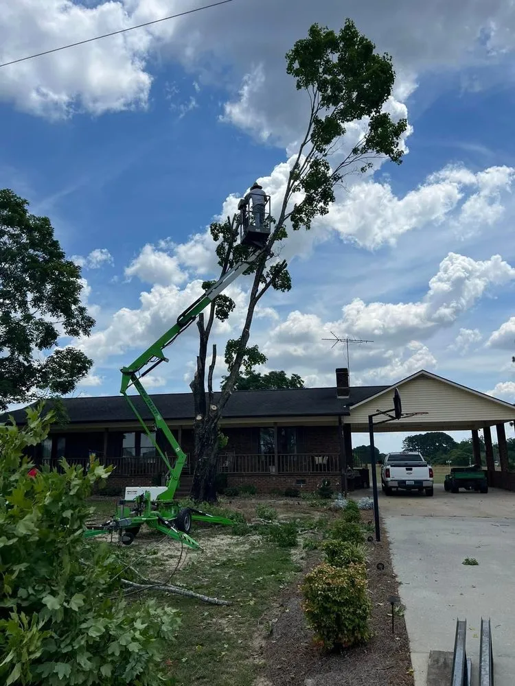 Trusted lawn care service experts serving Coats, NC - Kingdom Landscapes