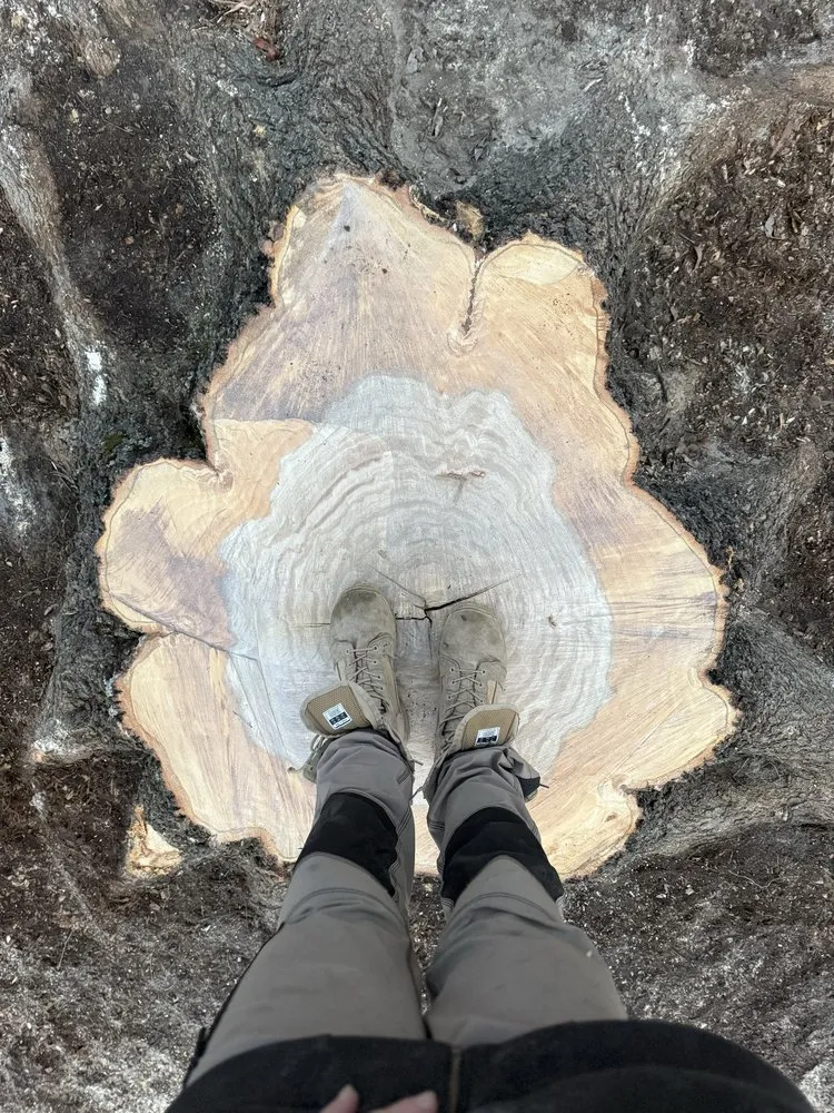 Custom yard cleanup service experts serving Coats, NC - Kingdom Landscapes