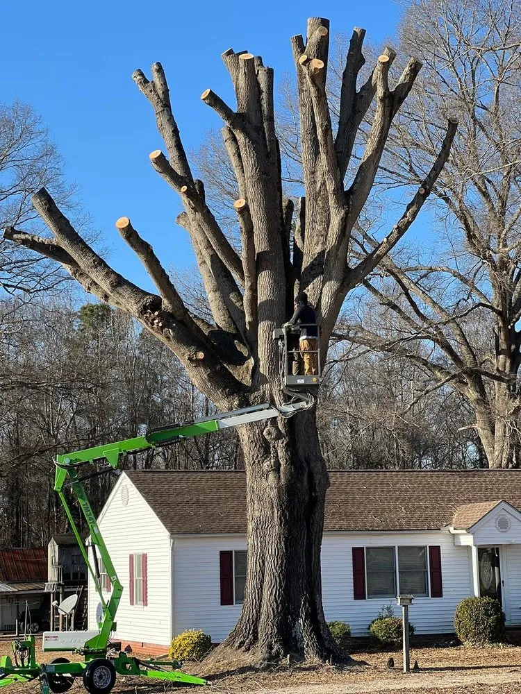 Affordable garden landscaping in Coats, NC by Kingdom Landscapes