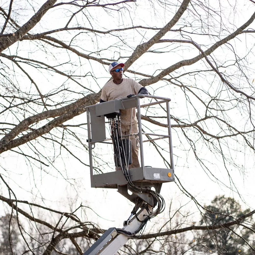 Top-rated lawn care service near you in Coats, NC by Kingdom Landscapes