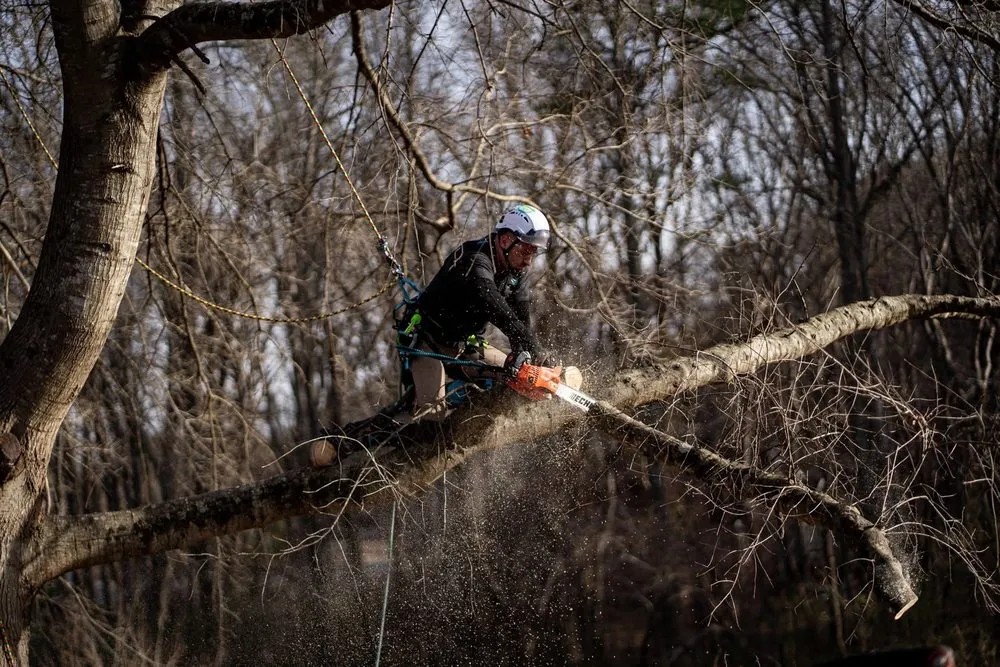 Top-rated landscaping services for outdoor upgrades across Coats, NC - Kingdom Landscapes