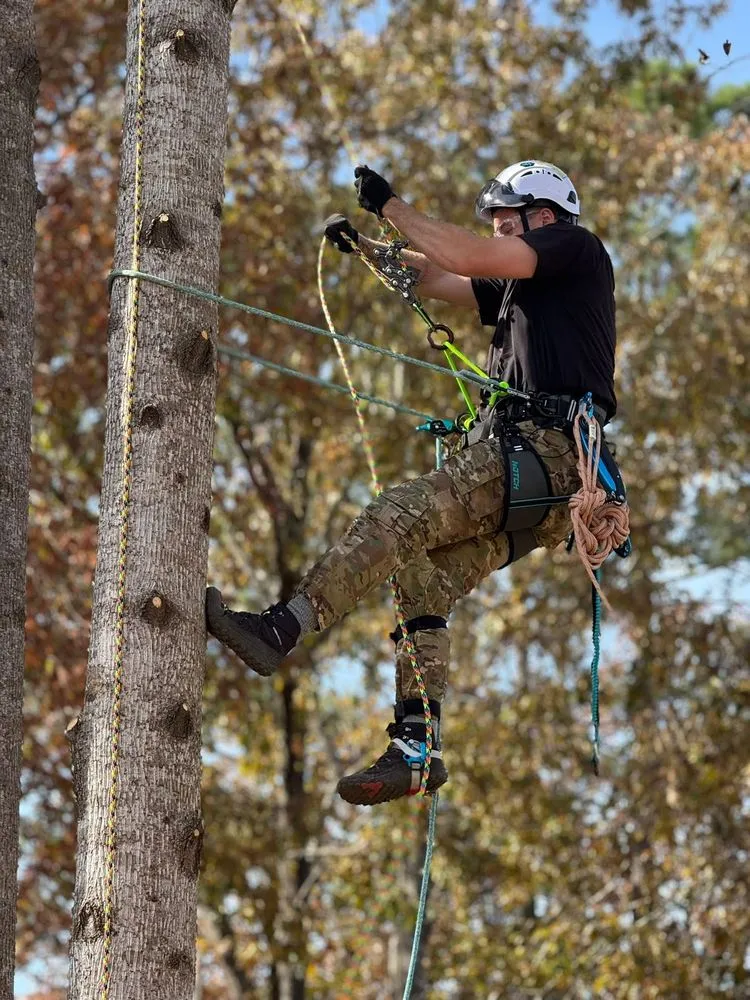 Top-rated lawn mowing service for year-round maintenance across Coats, NC - Kingdom Landscapes