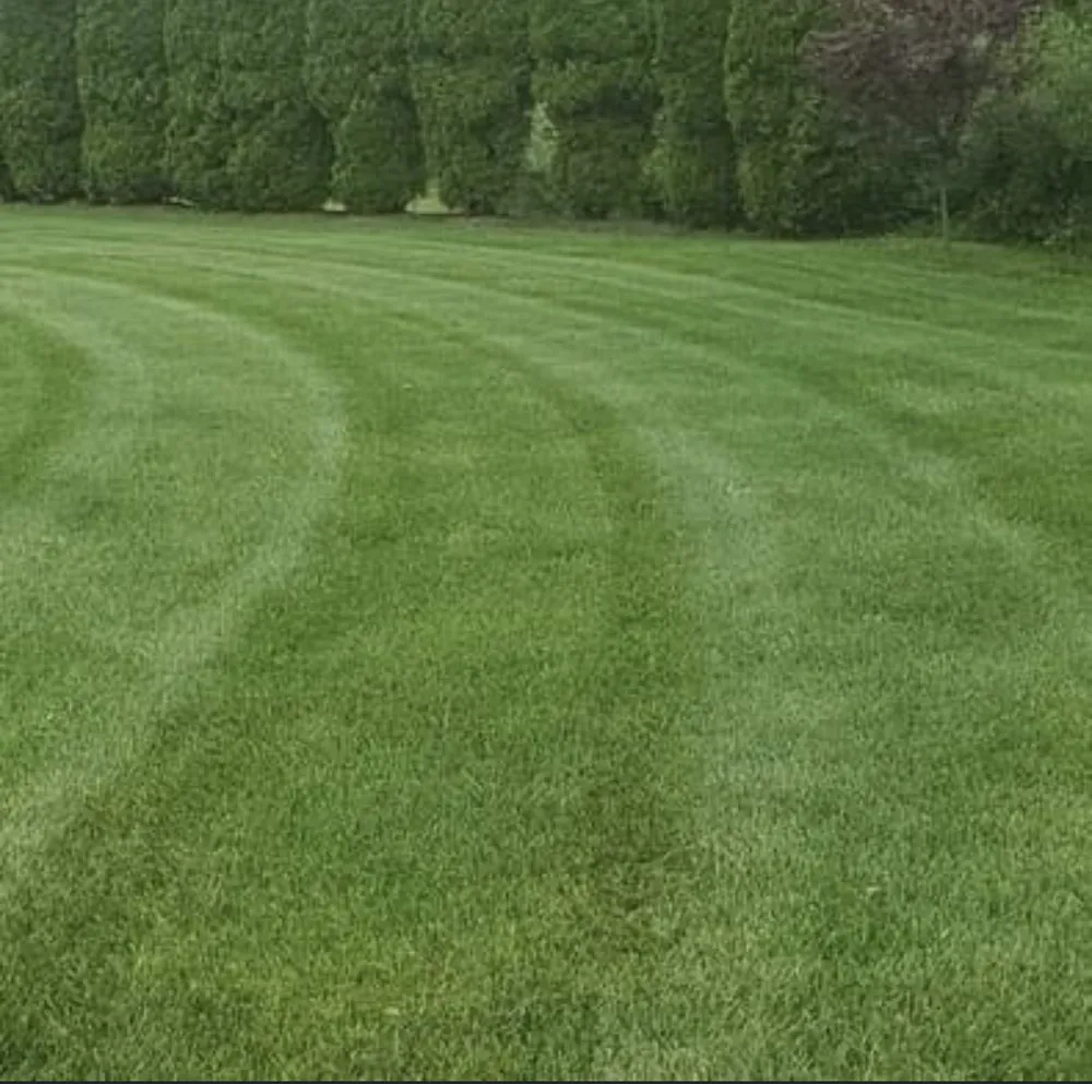 Custom residential landscaping experts serving Collegeville, PA - Kingdom Landscaping