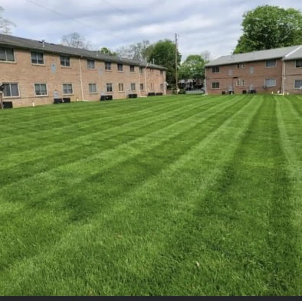 Expert landscaping services in Collegeville, PA - Kingdom Landscaping