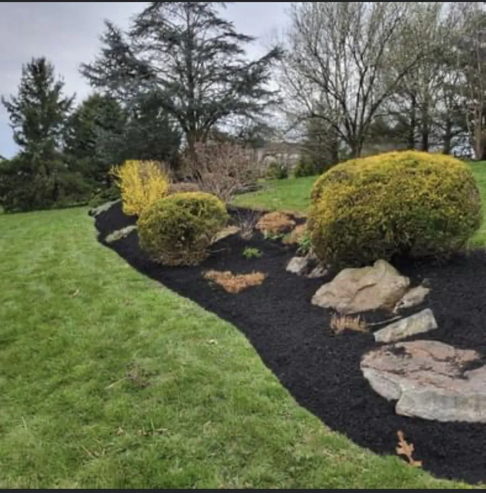 Reliable lawn care service for homes in Collegeville, PA by Kingdom Landscaping