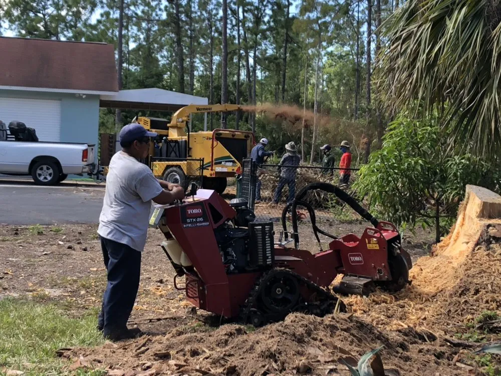 Affordable residential landscaping experts serving Immokalee, FL - Kingdom Landscaping