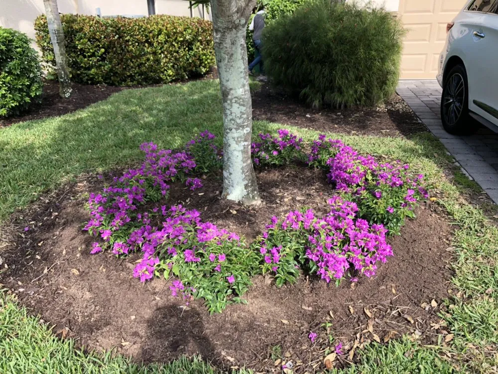 Trusted lawn mowing service in Immokalee, FL by Kingdom Landscaping