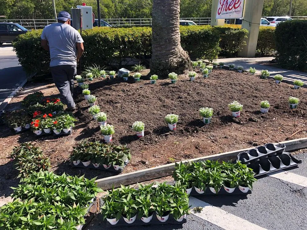 Local landscape design in Immokalee, FL - Kingdom Landscaping