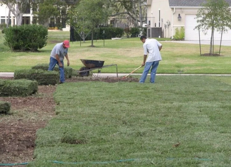 Affordable landscape design for outdoor upgrades in Immokalee, FL by Kingdom Landscaping