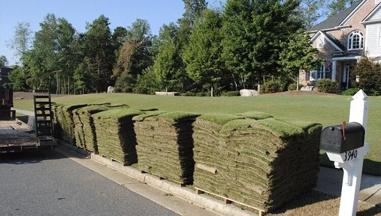 Affordable residential landscaping for year-round maintenance in Immokalee, FL by Kingdom Landscaping