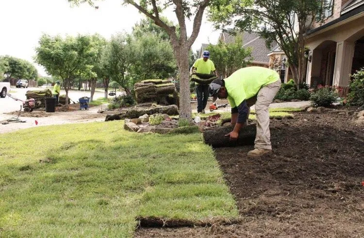 Custom lawn care service in Immokalee, FL - Kingdom Landscaping