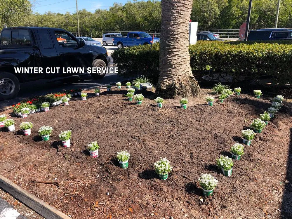 Expert residential landscaping with custom design in Immokalee, FL by Kingdom Landscaping