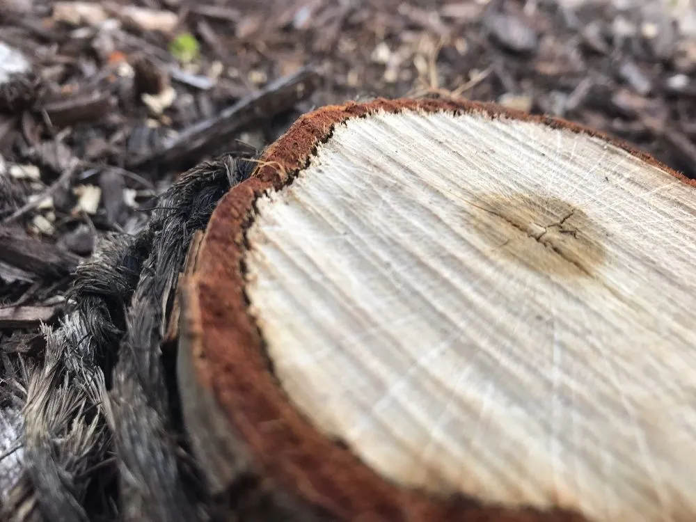 Expert lawn care service for residential properties in Milwaukee, WI by Kingdom Landscaping