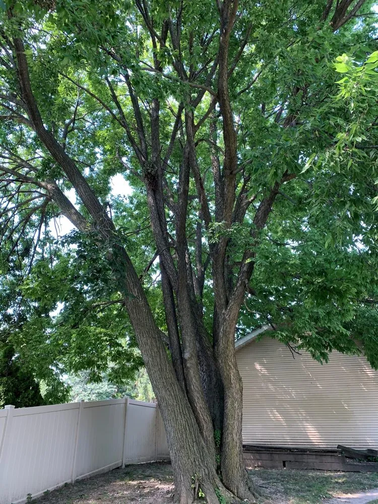 Professional landscaping services in Milwaukee, WI by Kingdom Landscaping