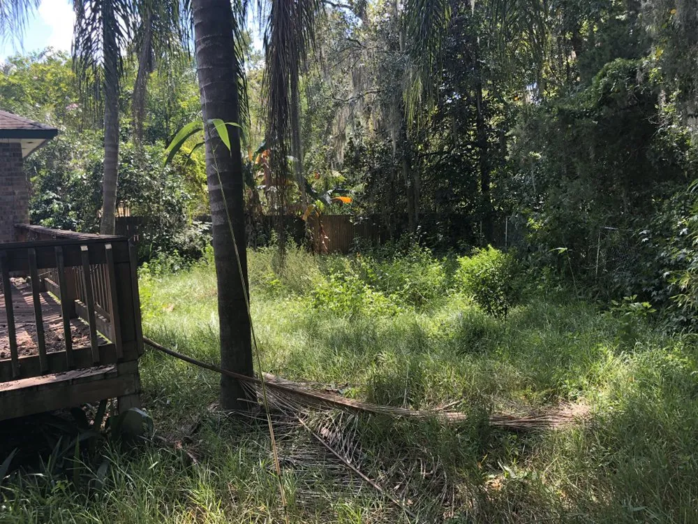 Reliable lawn care service for beautiful yards across Orlando, FL - Kingdom Landscaping