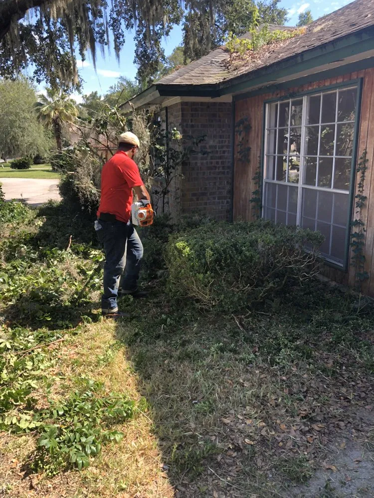 Expert landscape design in Orlando, FL by Kingdom Landscaping