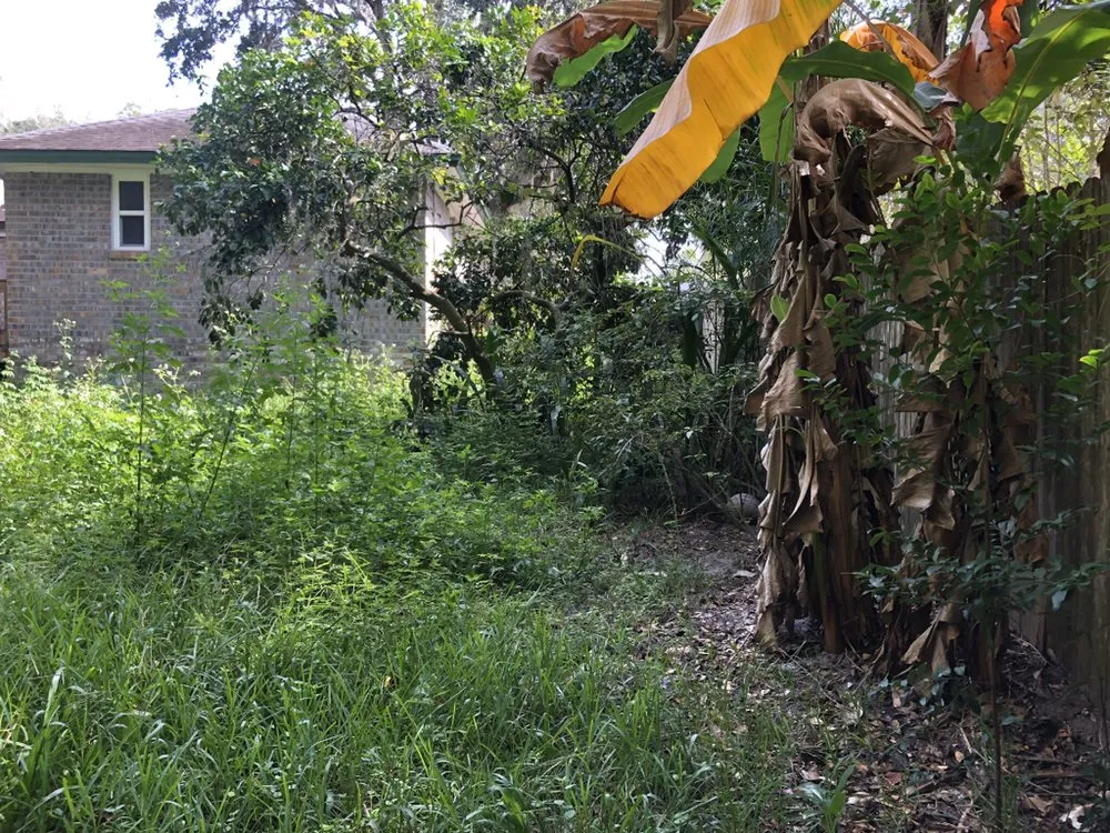 Top-rated landscape installation experts serving Orlando, FL - Kingdom Landscaping