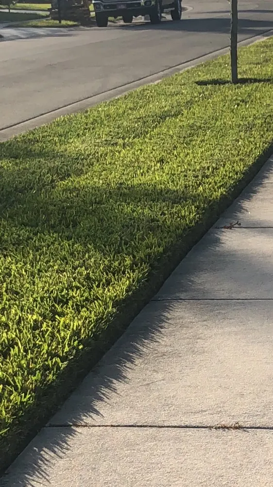 Expert yard cleanup service in Orlando, FL - Kingdom Landscaping