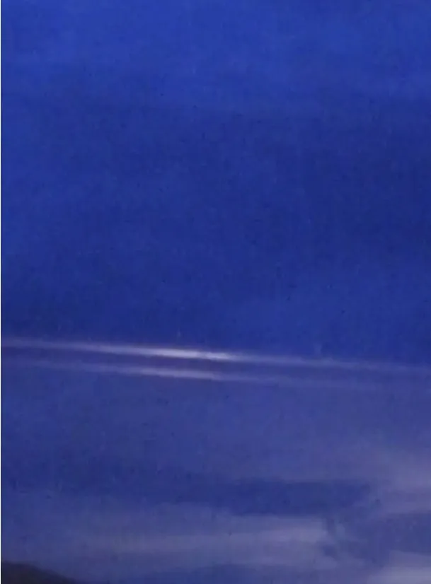 Professional garden landscaping in Orlando, FL by Kingdom Landscaping