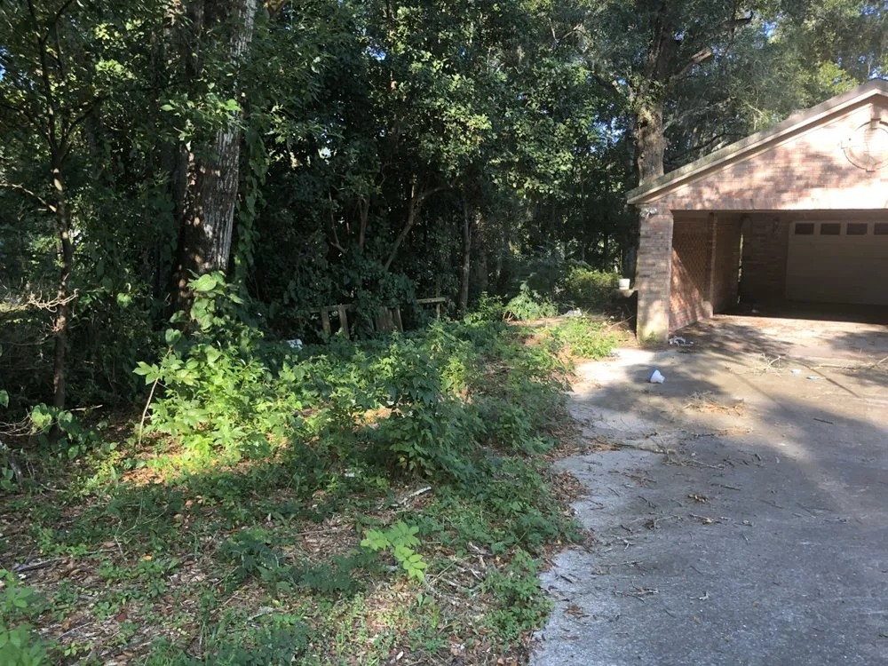 Trusted landscape installation in Orlando, FL by Kingdom Landscaping