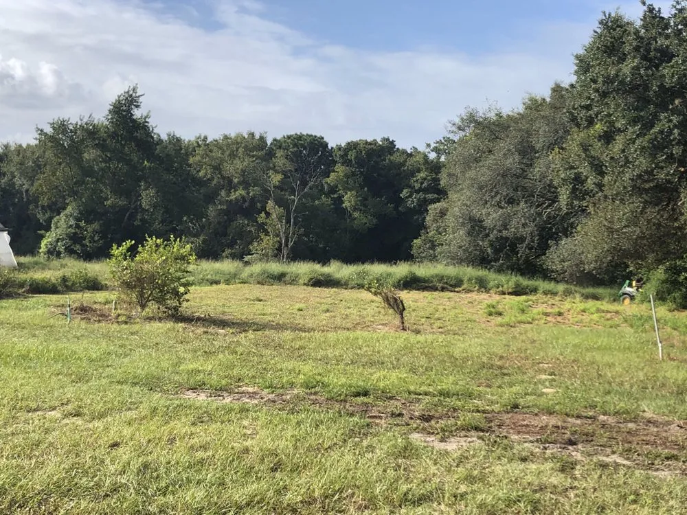 Professional landscaping services in Orlando, FL by Kingdom Landscaping