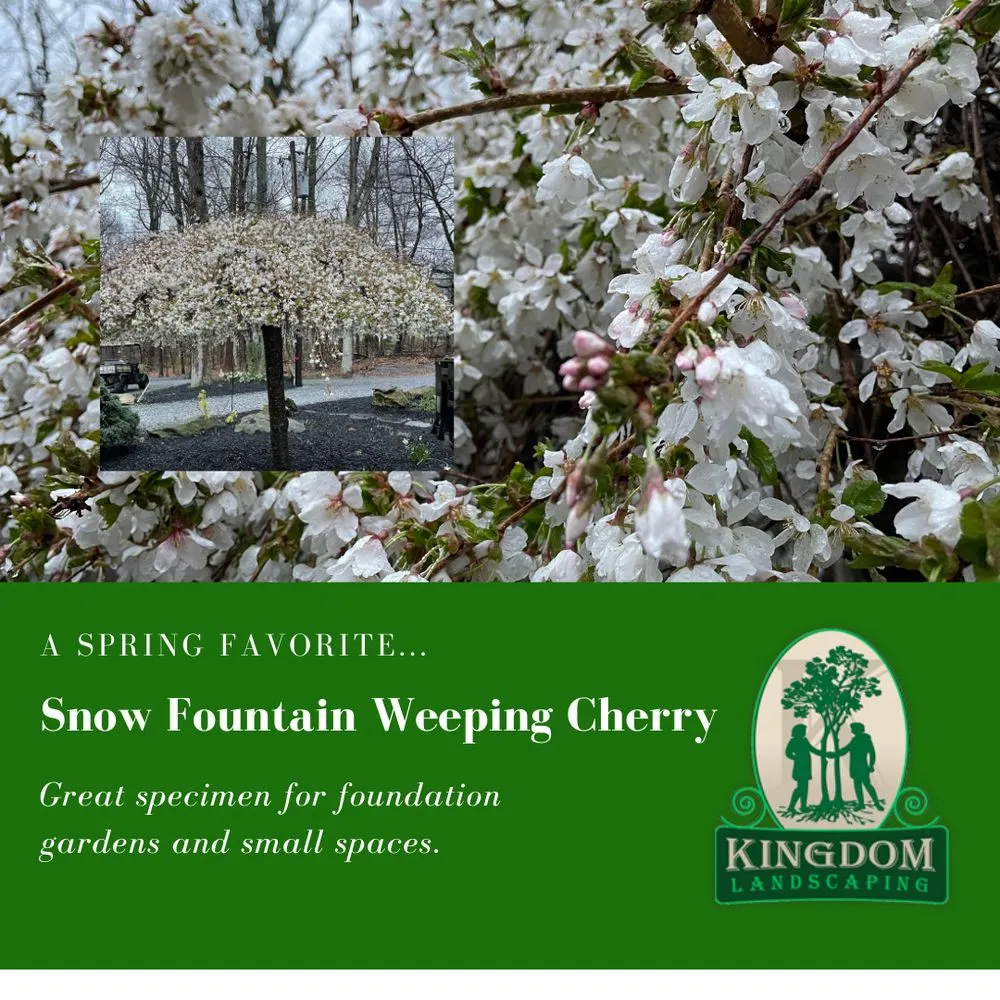 Professional landscape installation near you across Sabillasville, MD - Kingdom Landscaping