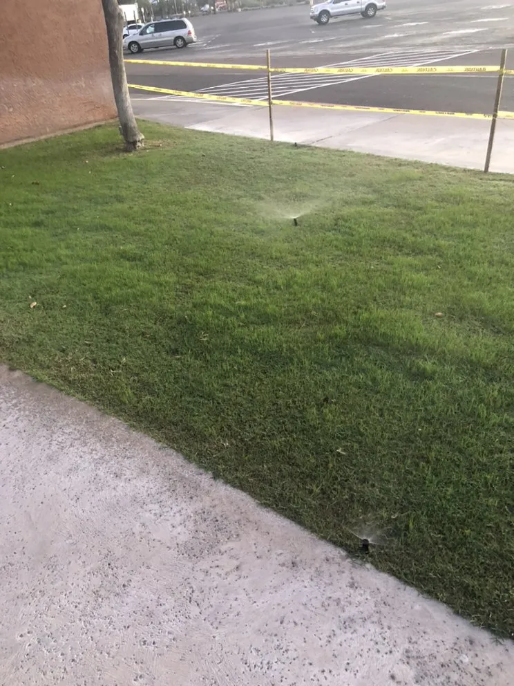 Affordable outdoor landscaping in Mesa, AZ by Kingdom Lawn & Tree Services