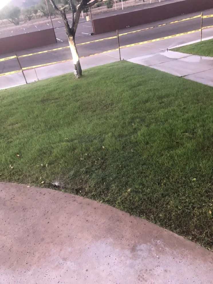 Reliable yard maintenance experts serving Mesa, AZ - Kingdom Lawn & Tree Services