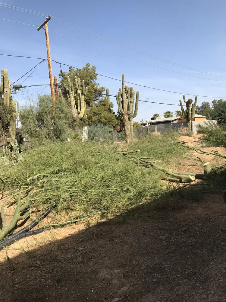 Top-rated landscaping services in Mesa, AZ - Kingdom Lawn & Tree Services