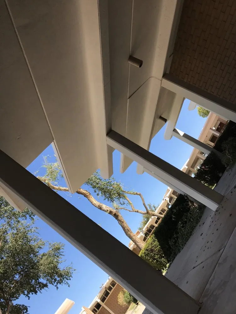 Local landscaping services in Mesa, AZ - Kingdom Lawn & Tree Services